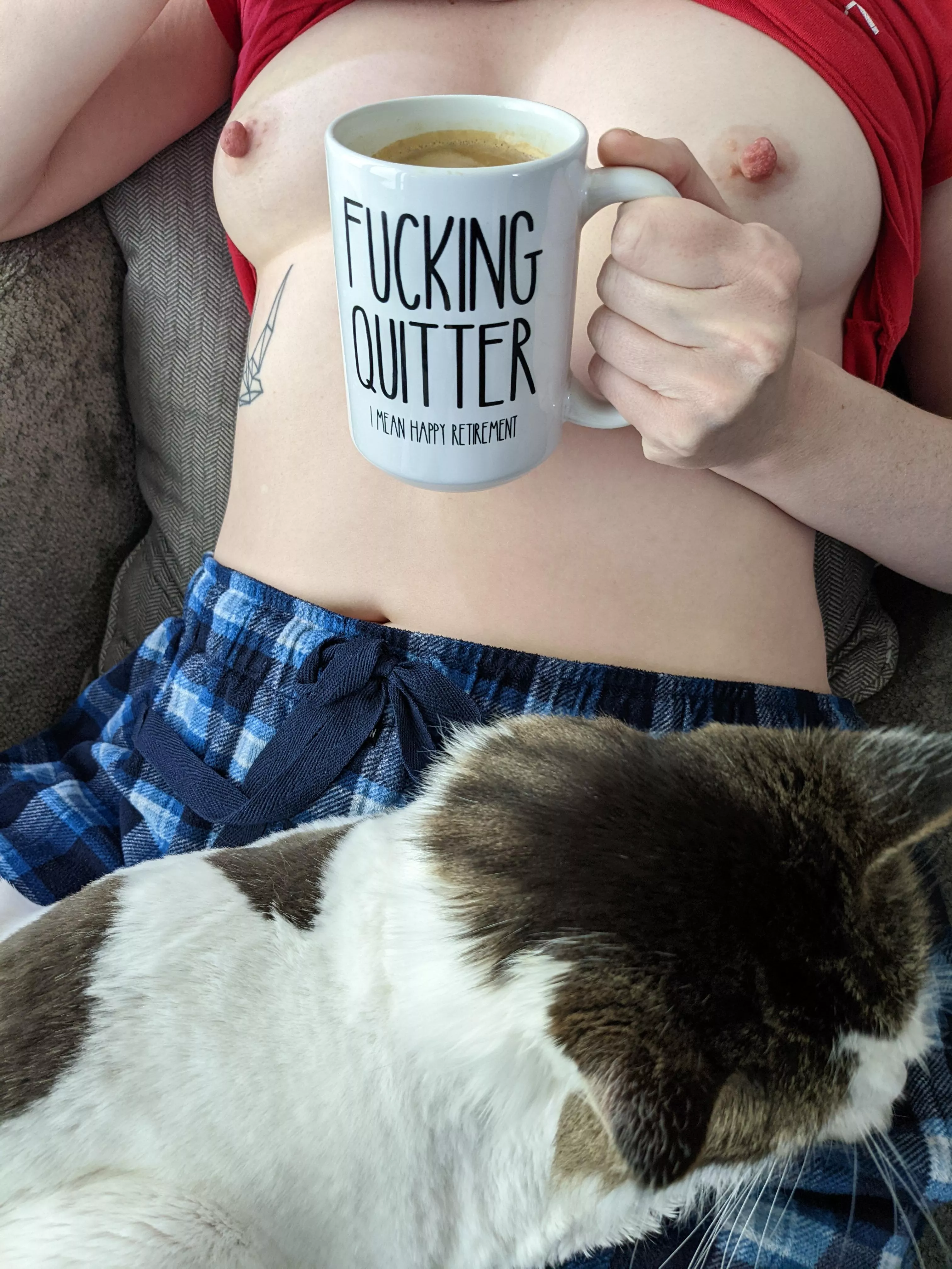 Oops...sorry, my pussy got in the way. hehe posted by TOYST_OF