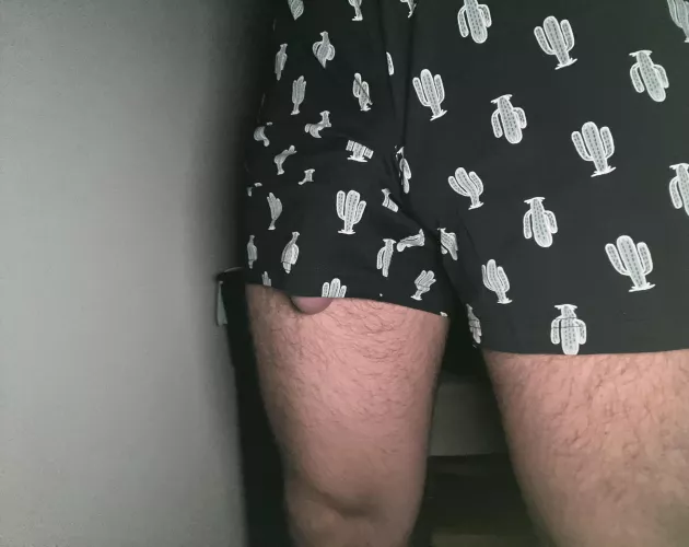 Oopsy by No_Stock_5914