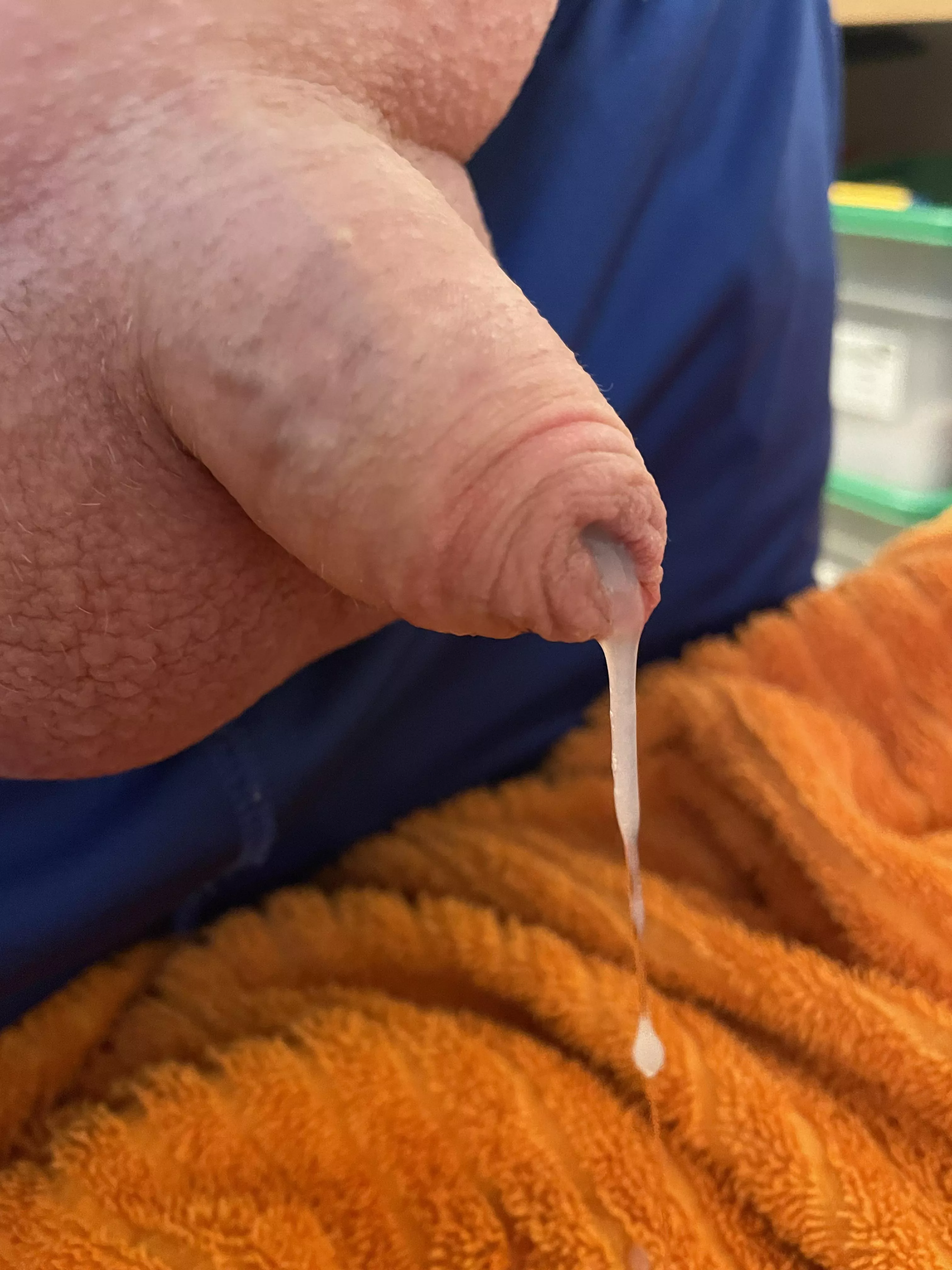 Oozing cum (40) posted by Friendly-Jacket-1793