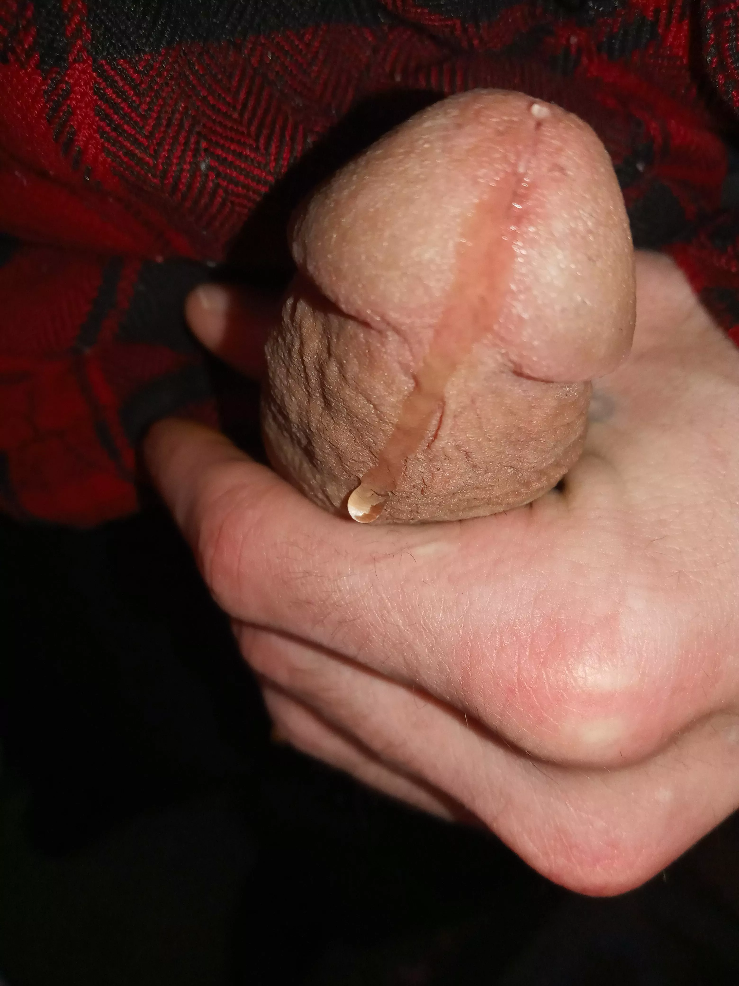 oozing in need of another cock posted by benlong82