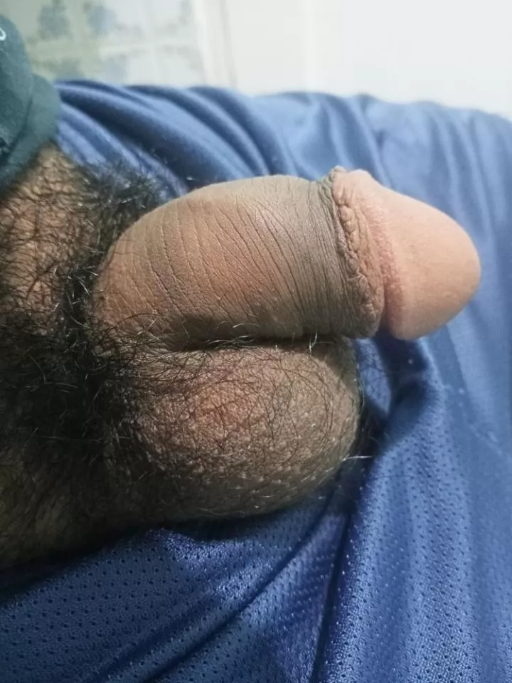 Opinions about my little friend? posted by Money_Guard5257