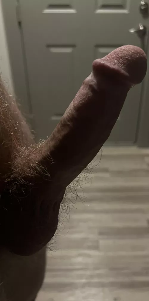 Other than needing to trim a little bit, what do you think? by HornyAnonymous1