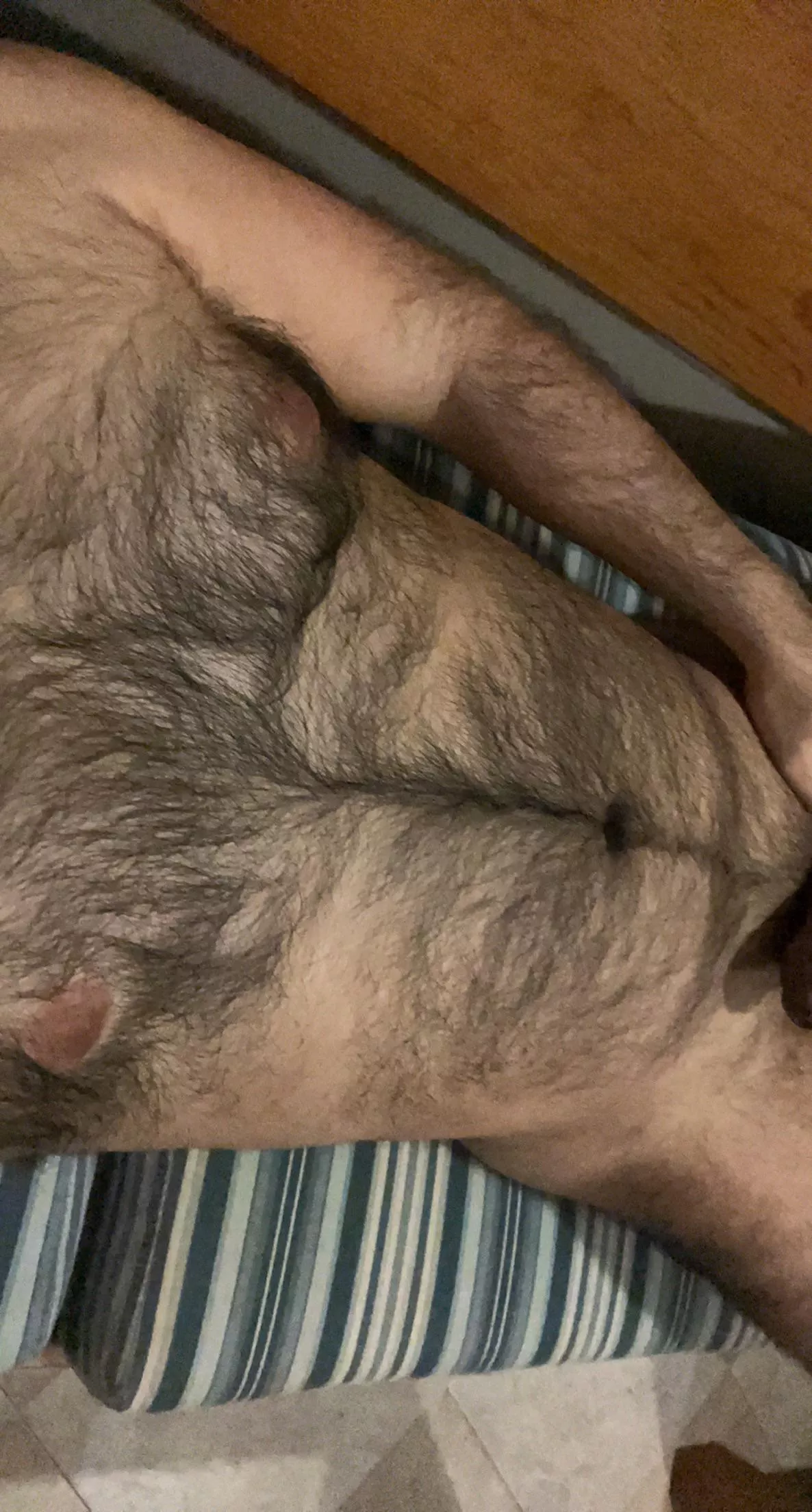 Otter posted by latin_otter77