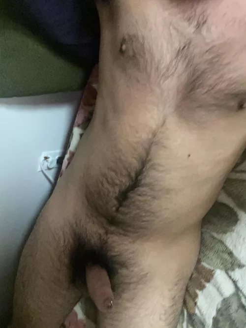 Otters at play by C_dood