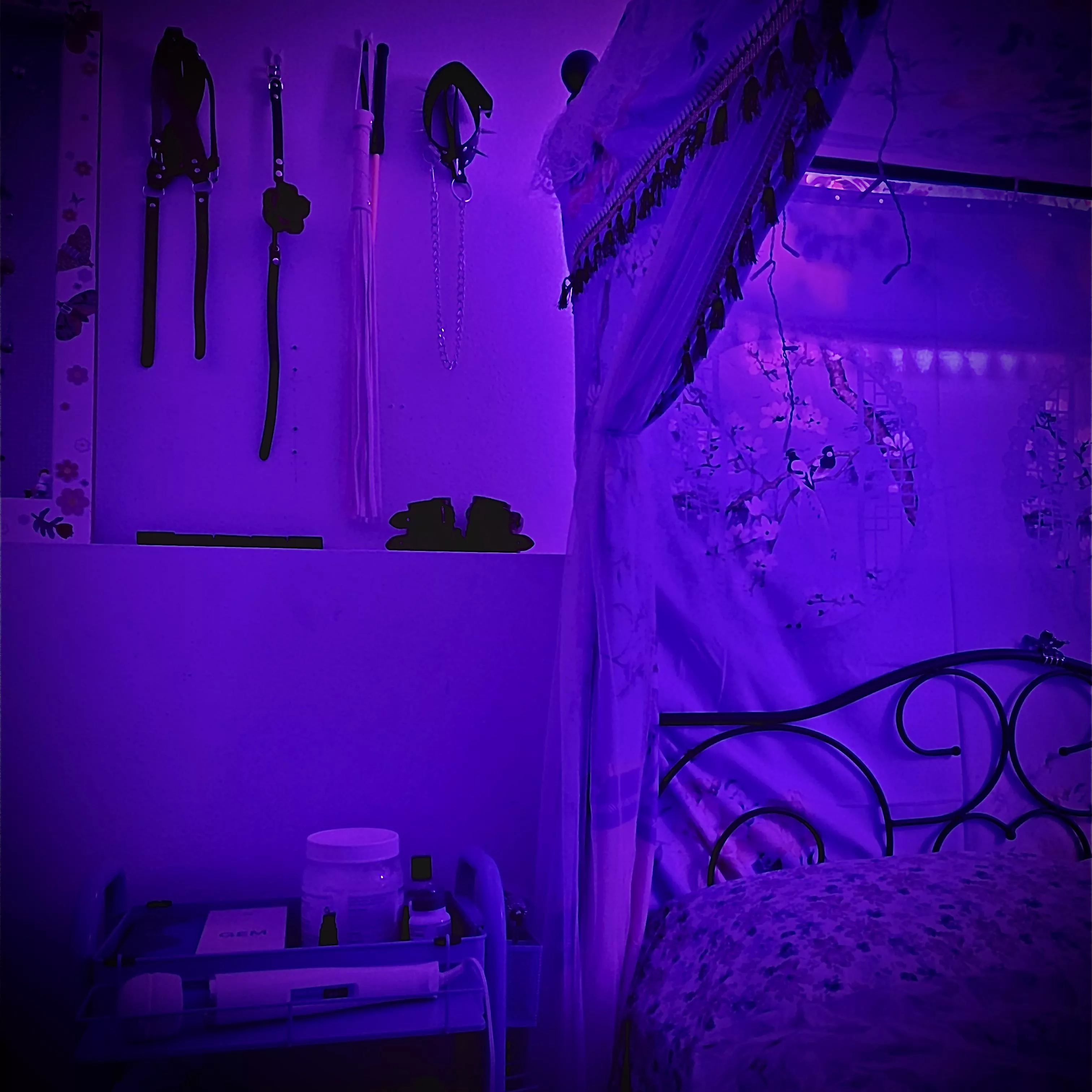 Our aesthetic is magic/Fae instead of the traditional dungeon aesthetic. Come, let us wisk you away to another realm. No promise you’ll be returned… posted by vutall