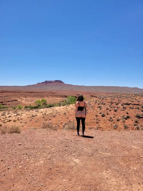 Our vacation was all buttes and butts by throwaway18708