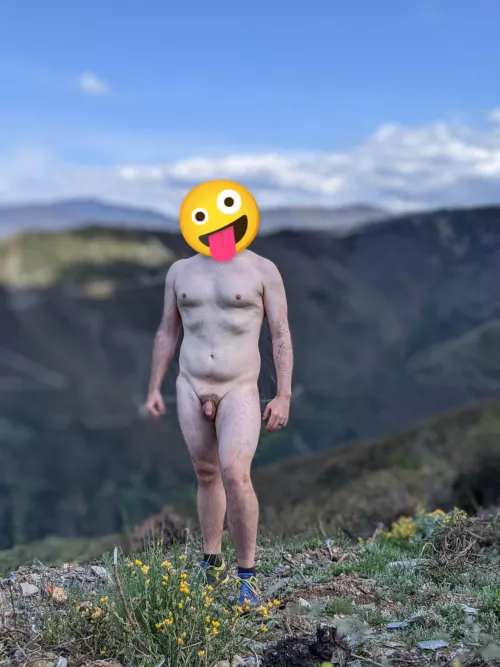 Out for a hike. No one seemed to be around so I got comfortable by solonatural