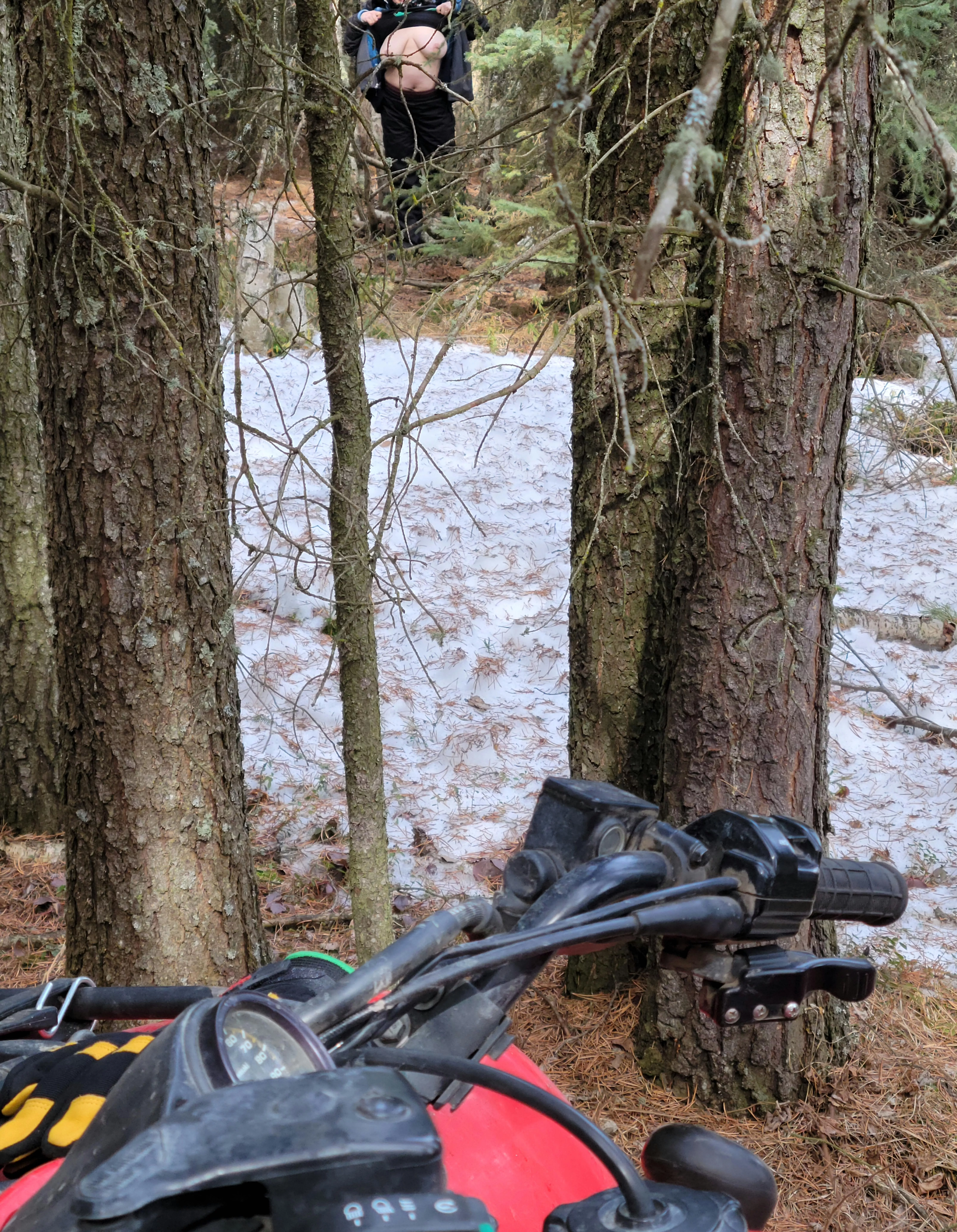 Out in the wild(f) posted by Trysomethingnew420