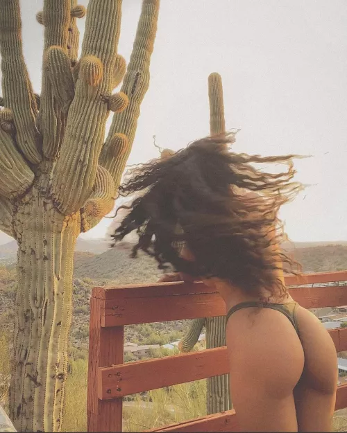 Out west by 0rangeeAppeal