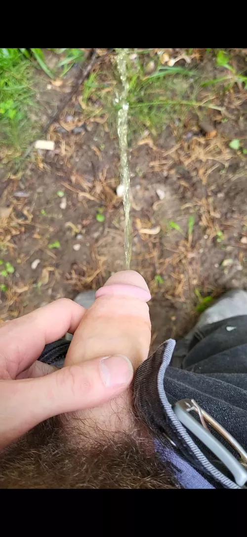 outside job today. goin in the backyard by Double-Win305