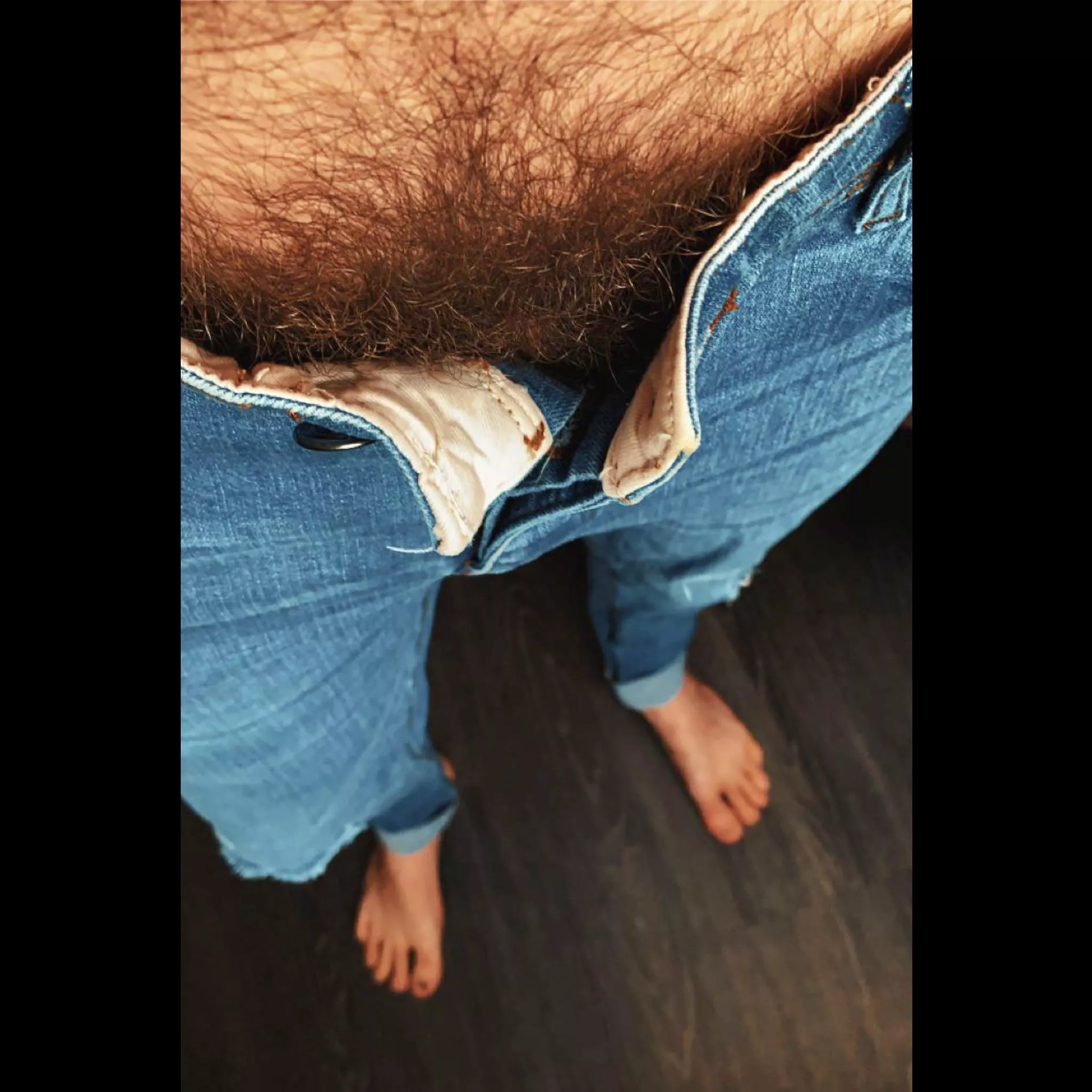 p e e k a b o o b u s h posted by jerseyjaxoff