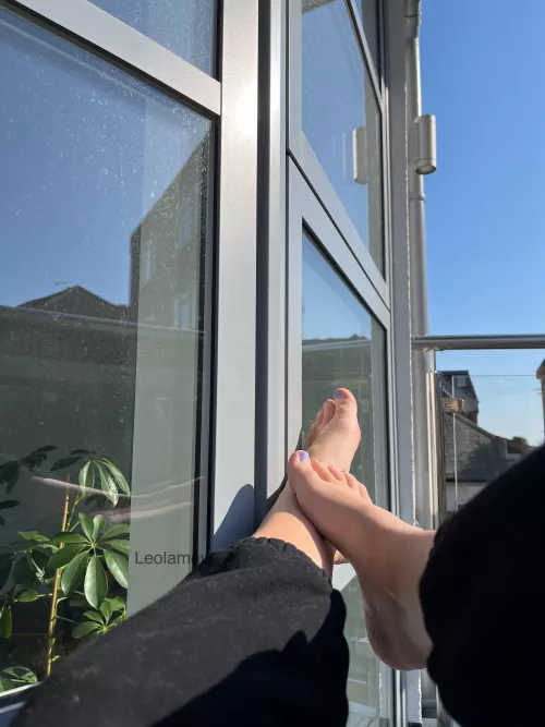 Painted them purple for spring! by leolamew