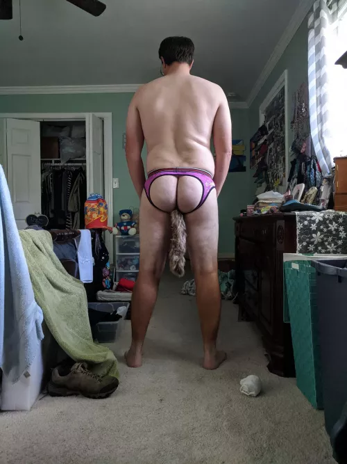 Panties and a tail? by astretz