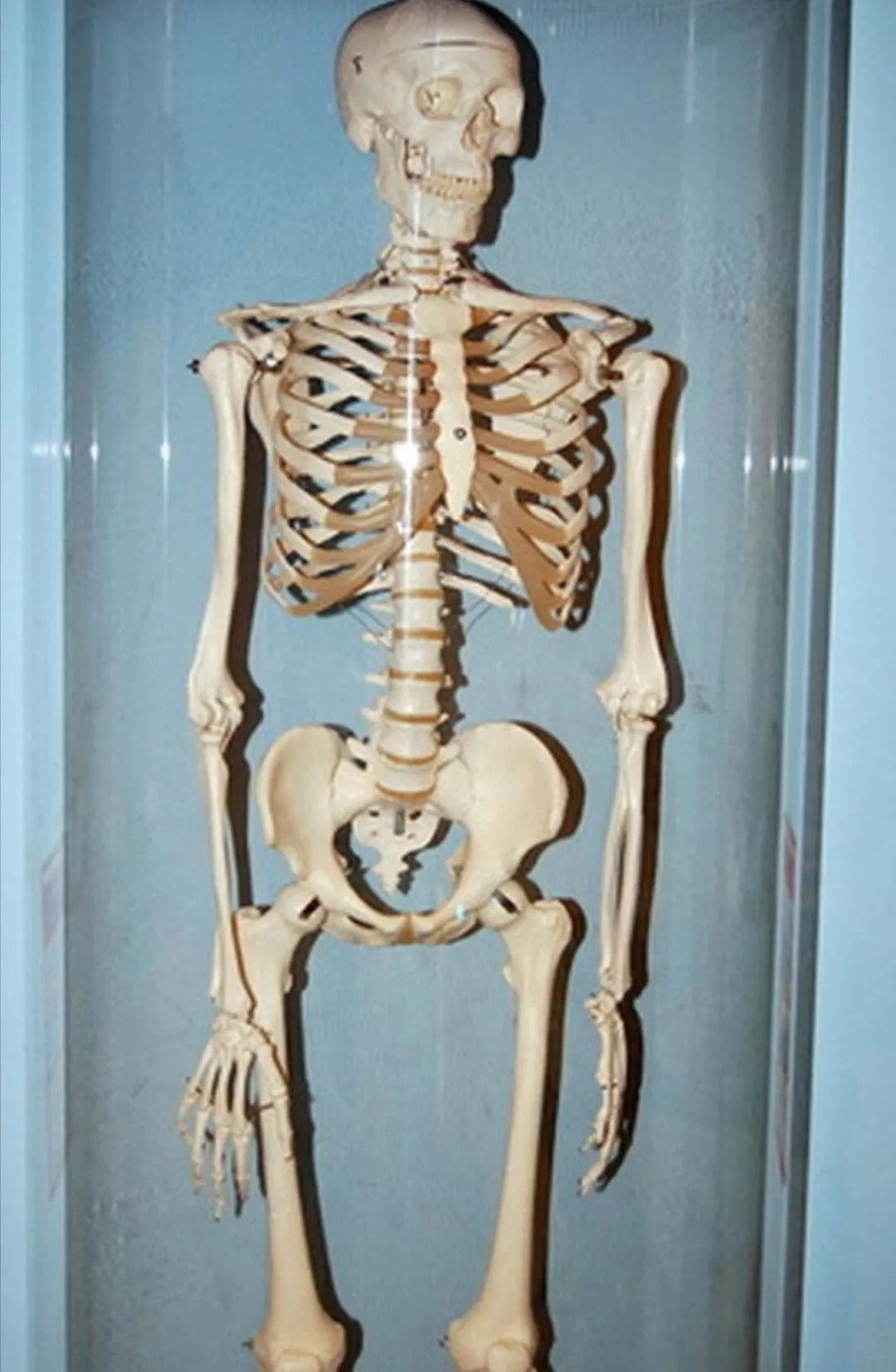 [Papyrus.] posted by OneOfMy70AltAccounts