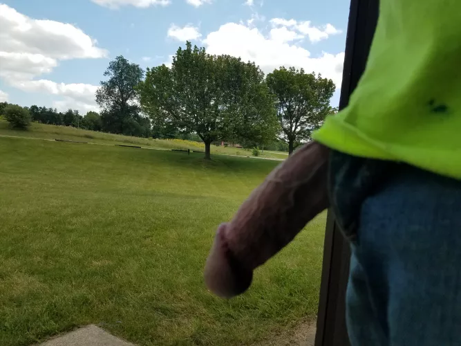 park fun by No_Fox8540