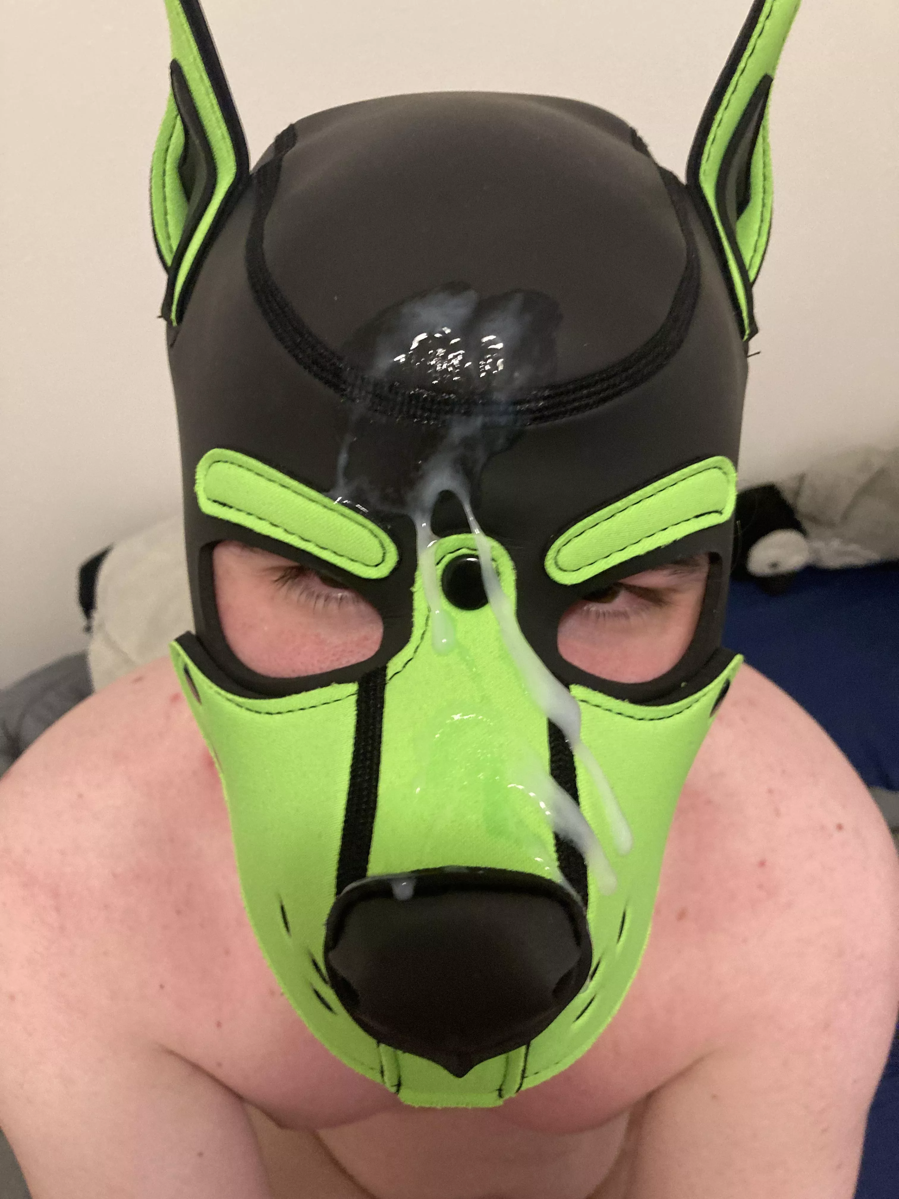 Partner came over today! I got to be a good boy 🐶 posted by Disastrous-Echo-8049
