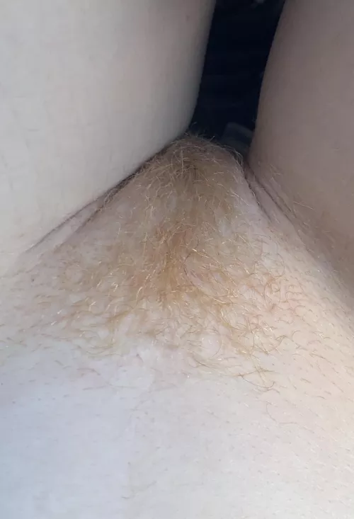 Peach fuzz by mushroomtriq