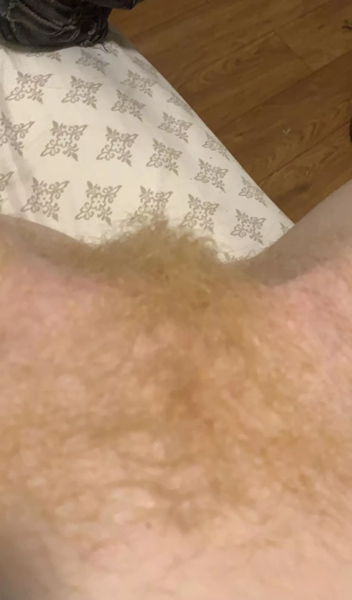 Peach fuzz posted by mushroomtriq