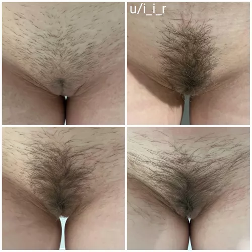 Peach, strip, bush, forest by i_i_r