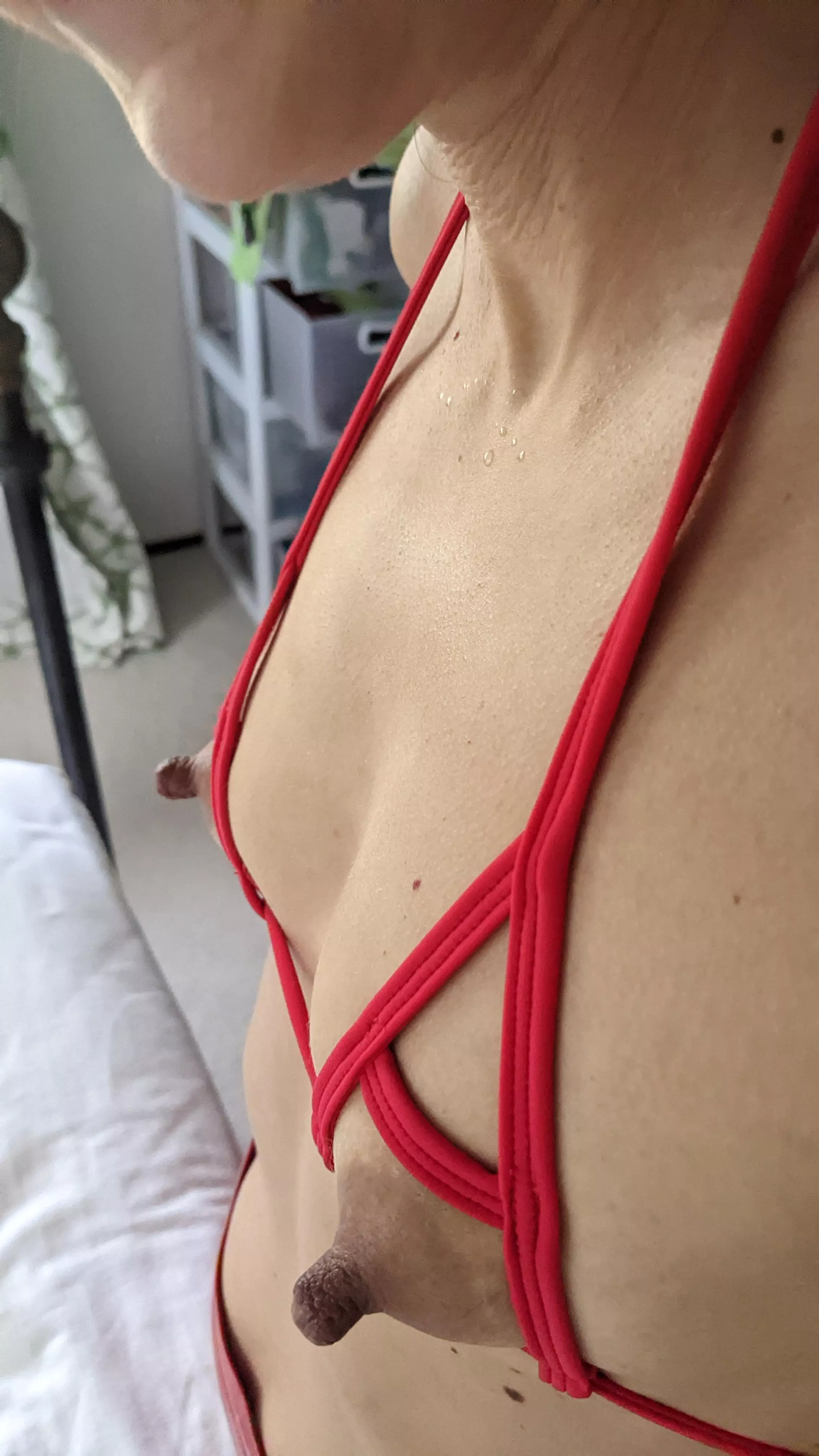 Peek over my shoulder posted by OceanLoversCR