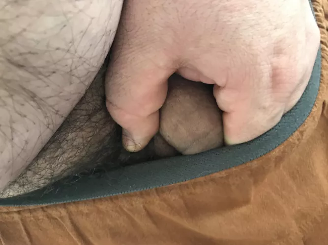 Peekaboo by naughtyprince34