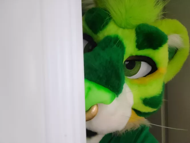 Peek-a-boo 👀 by drwildlife