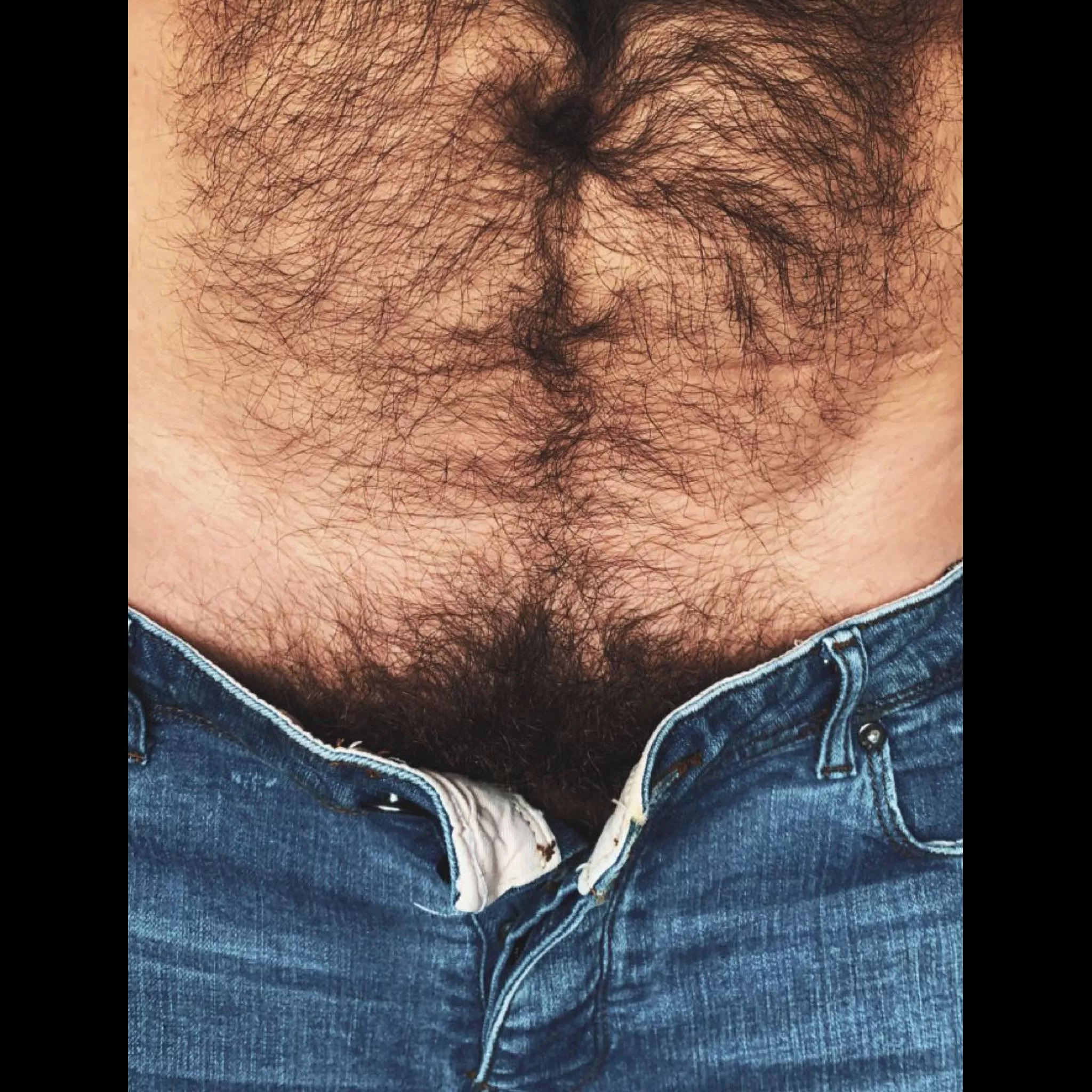 peekaboo bush posted by jerseyjaxoff