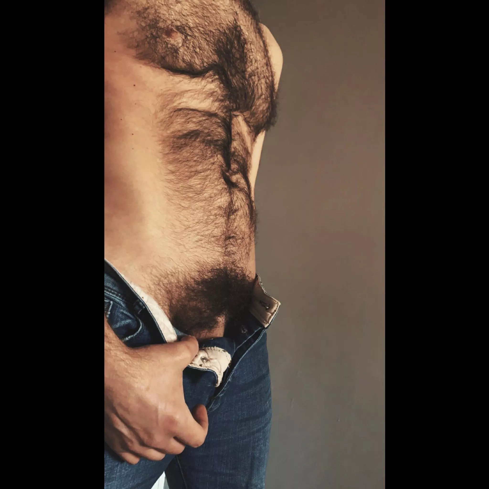 peekaboo bush posted by jerseyjaxoff