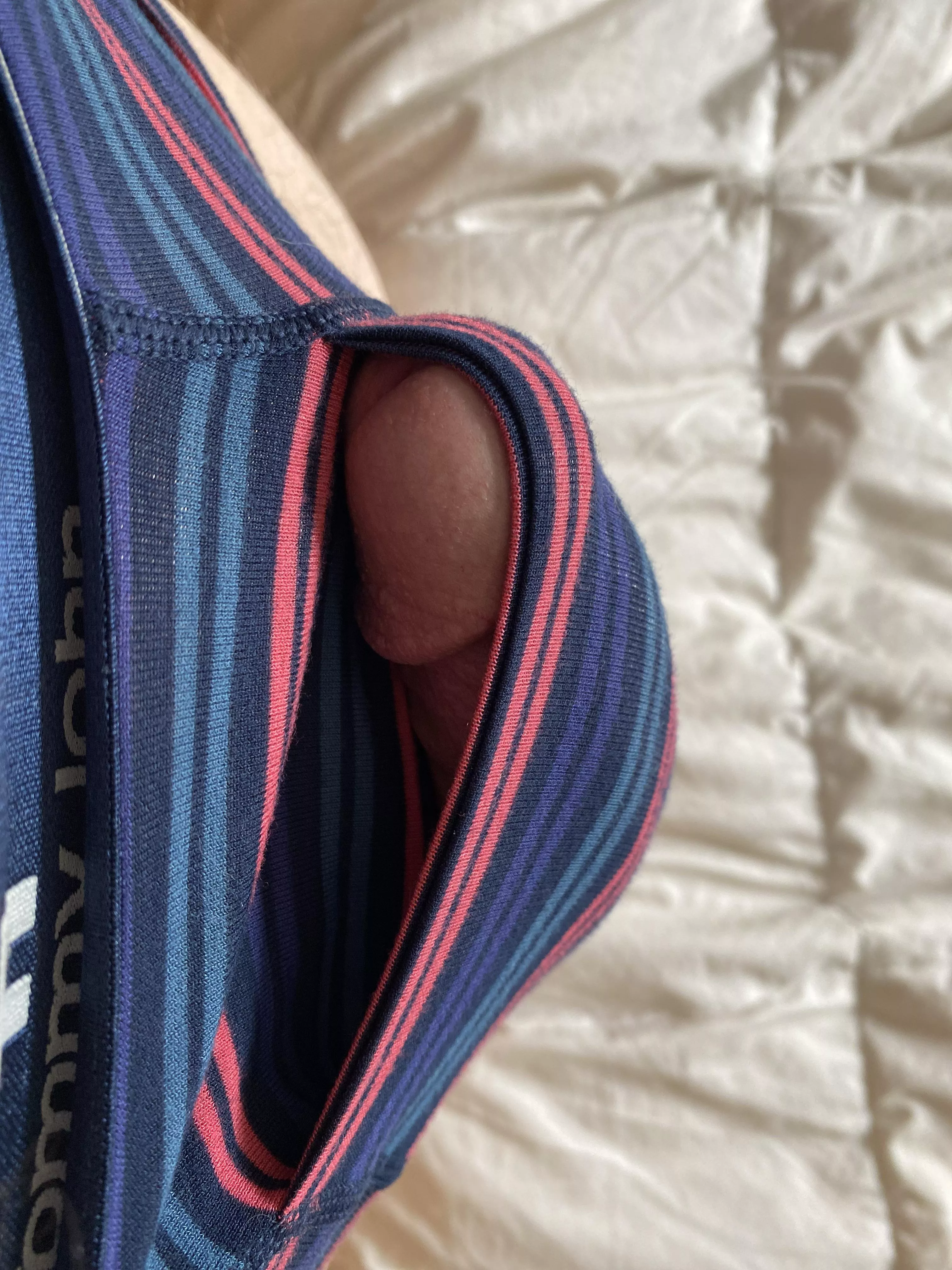 Peeking through posted by Bleeper4