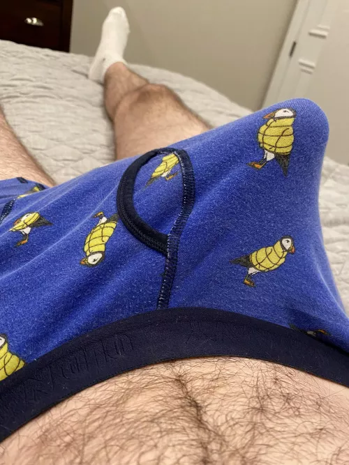 Penguins on an iceberg by FreddieAlfredo