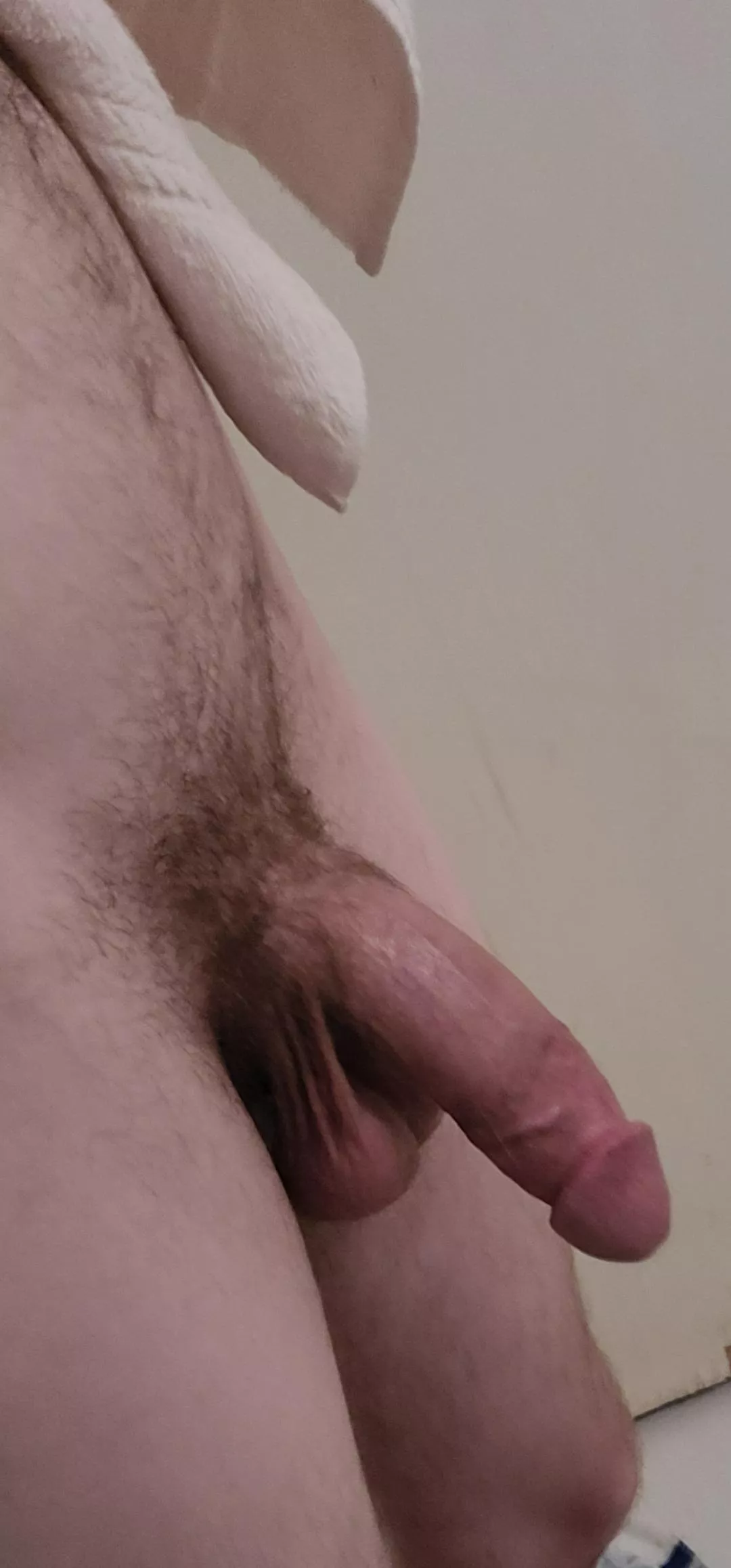 penis! now that I have your attention.. suck mine 😁 posted by bgck69