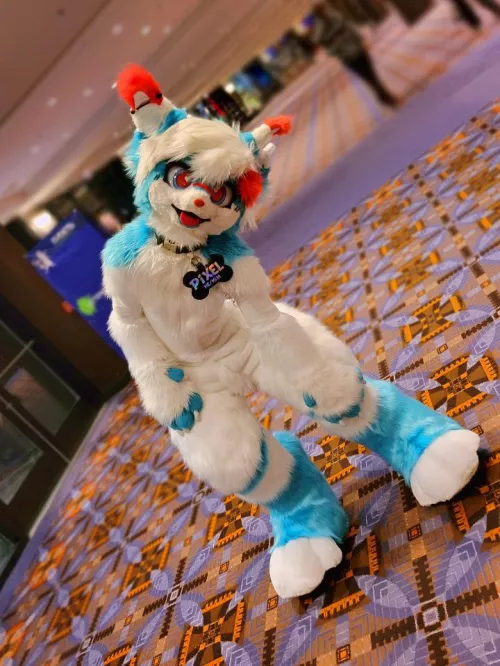People Forget I Have a Second Kemono Fursuit!! by 72027x