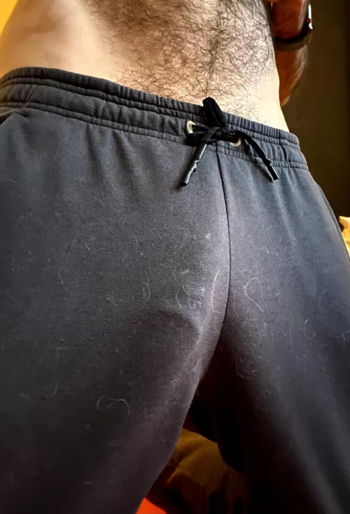 Pet hair is a scourge, but at least there is something else to see by zendiagram77