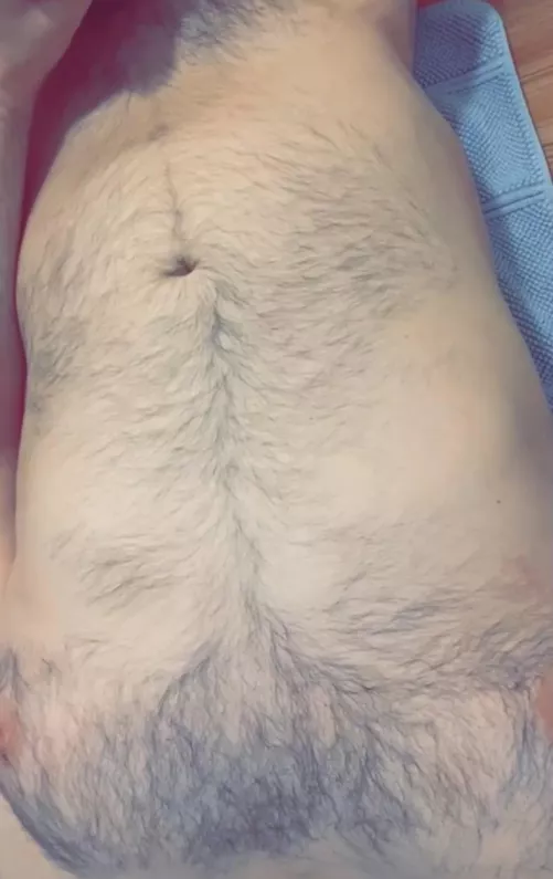 Pet me by LordDrippington