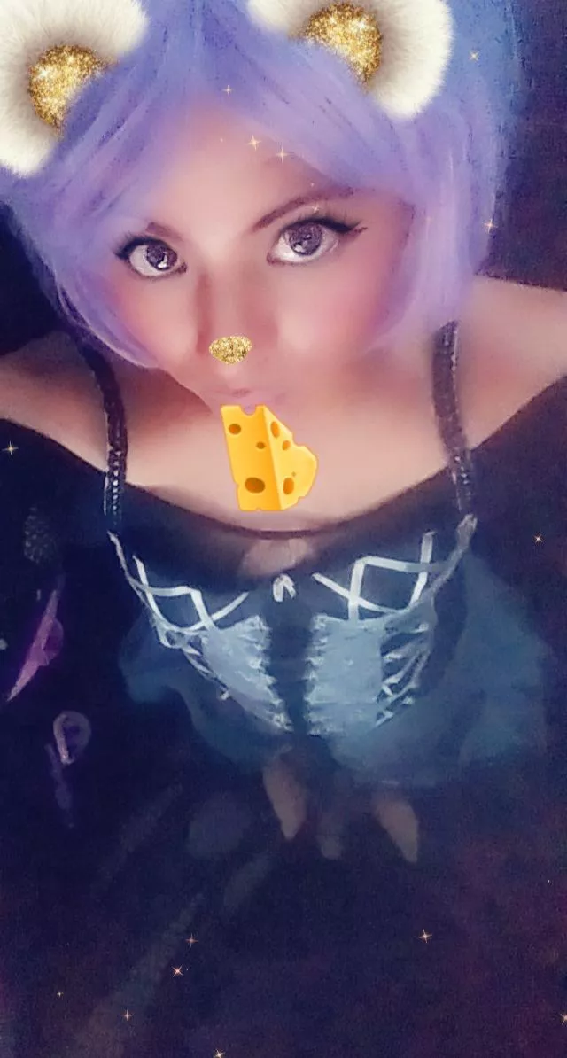 pet or jet? posted by littlenaia