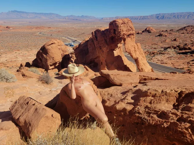 Petrified Pachyderm? 🐘🤔 by BareLeiaRose