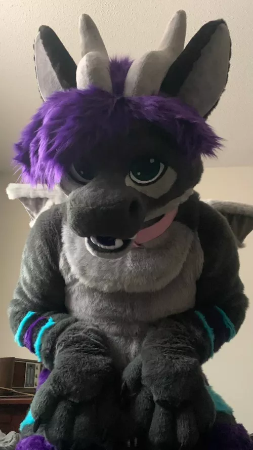 △ Pets Please? by SerenDuskflare