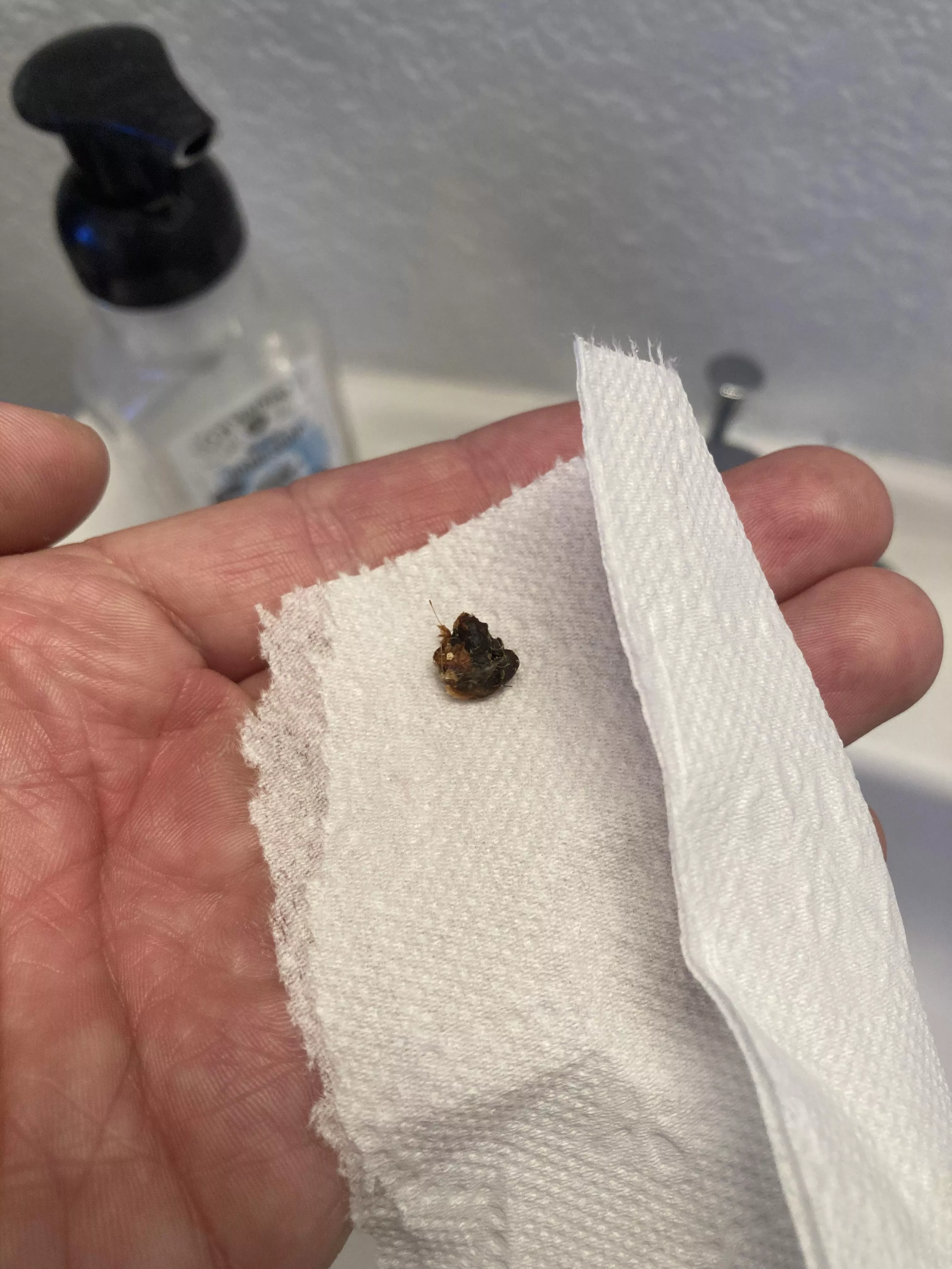 Picture for scale from my previous post posted by letsgoooo90091