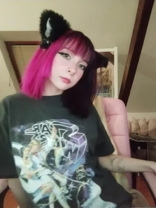 pink cats are the best cats 💕 by Intrepid_Panic_6866