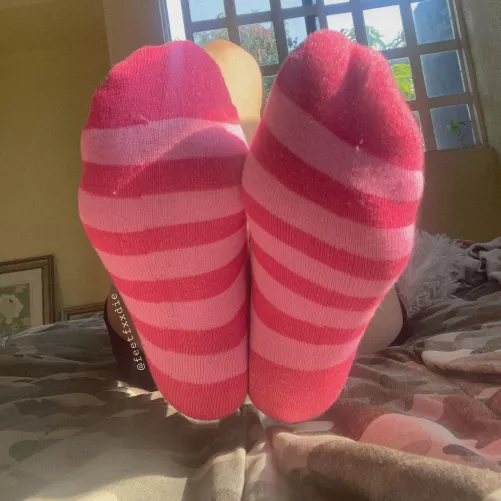 Pink socks 💕 (dms are open) by aitanaross