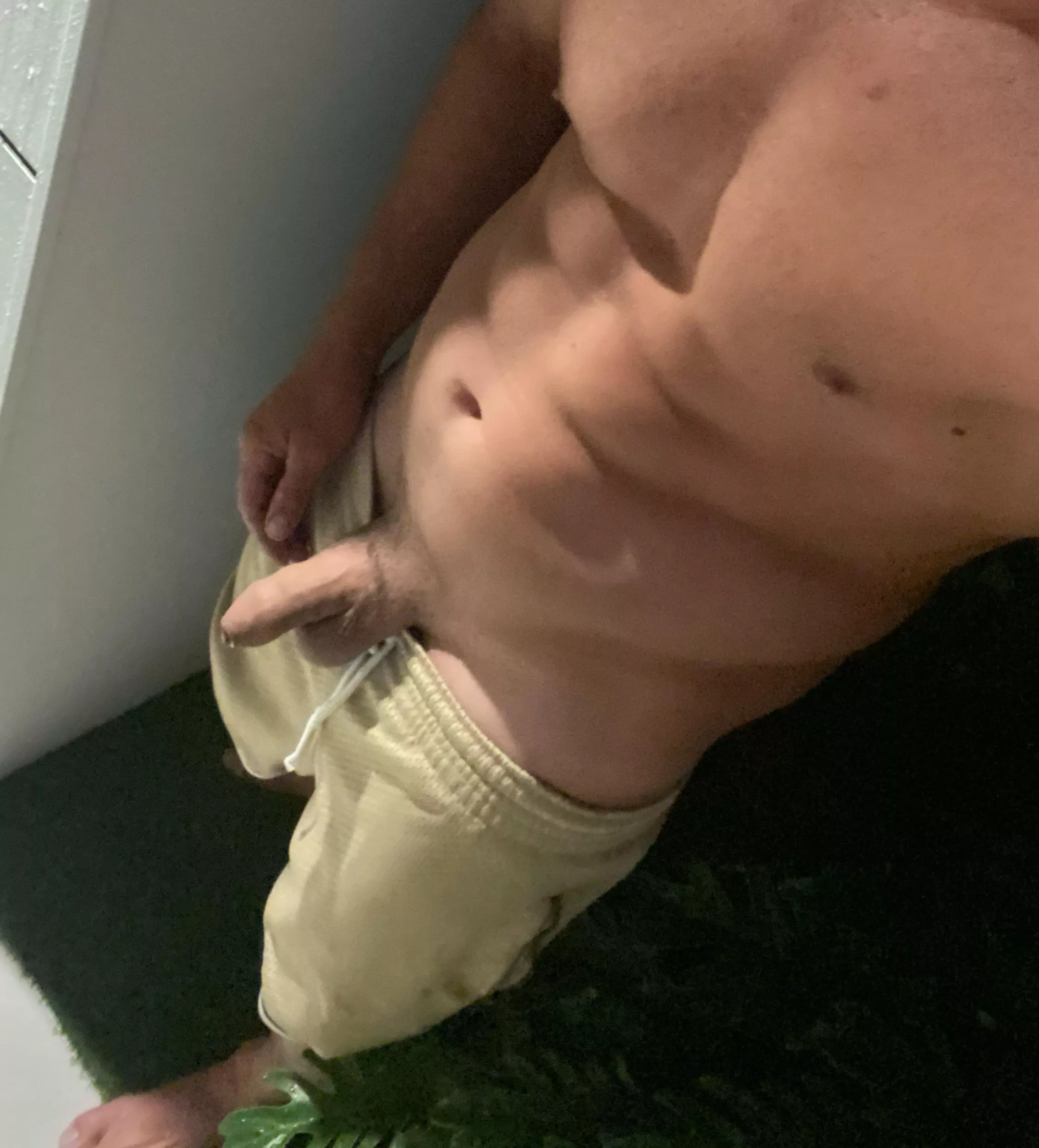 Pissing on my neighbour’s lawn posted by JackfruitLower552