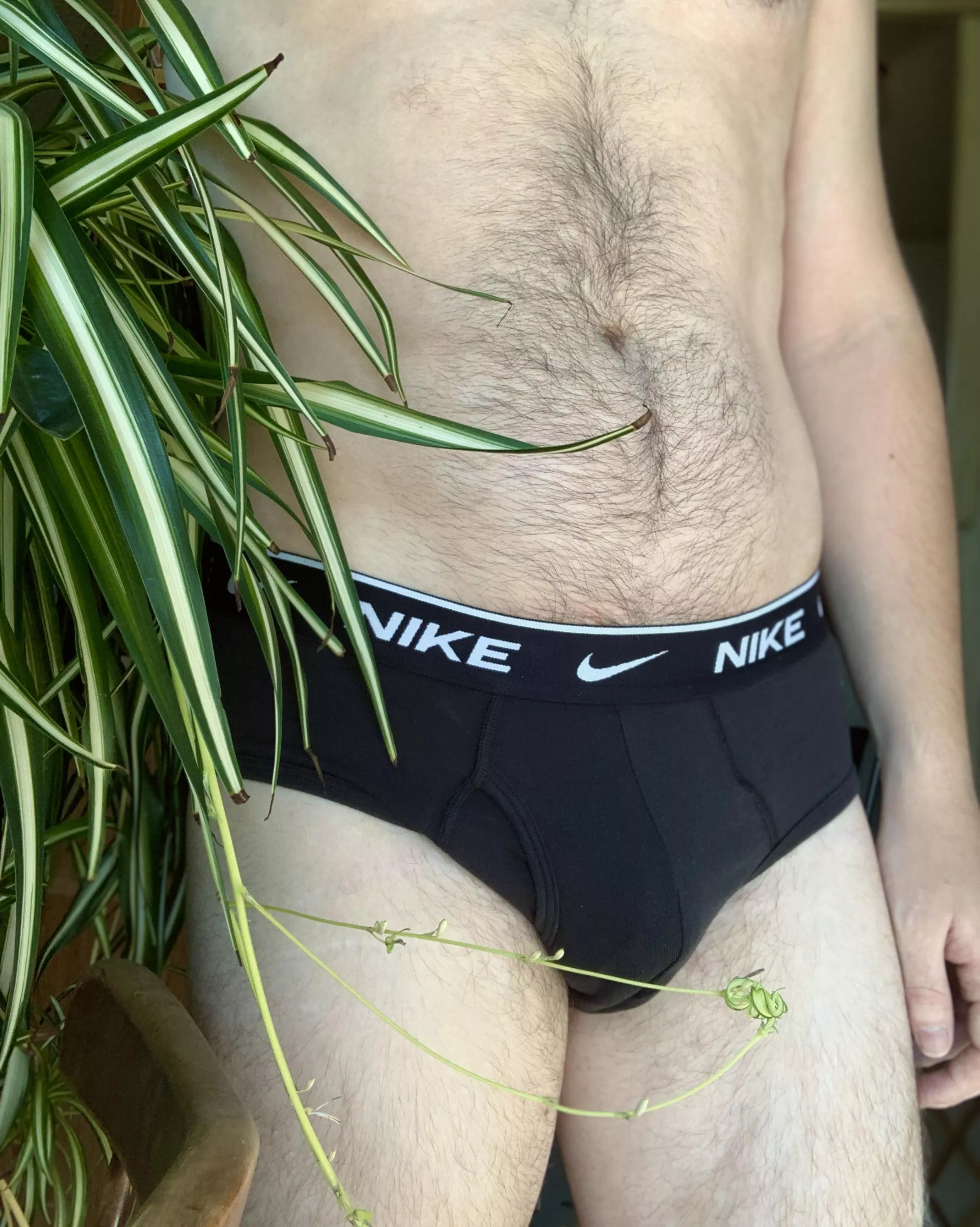 plant daddy in some Nike briefs posted by buttmxnch