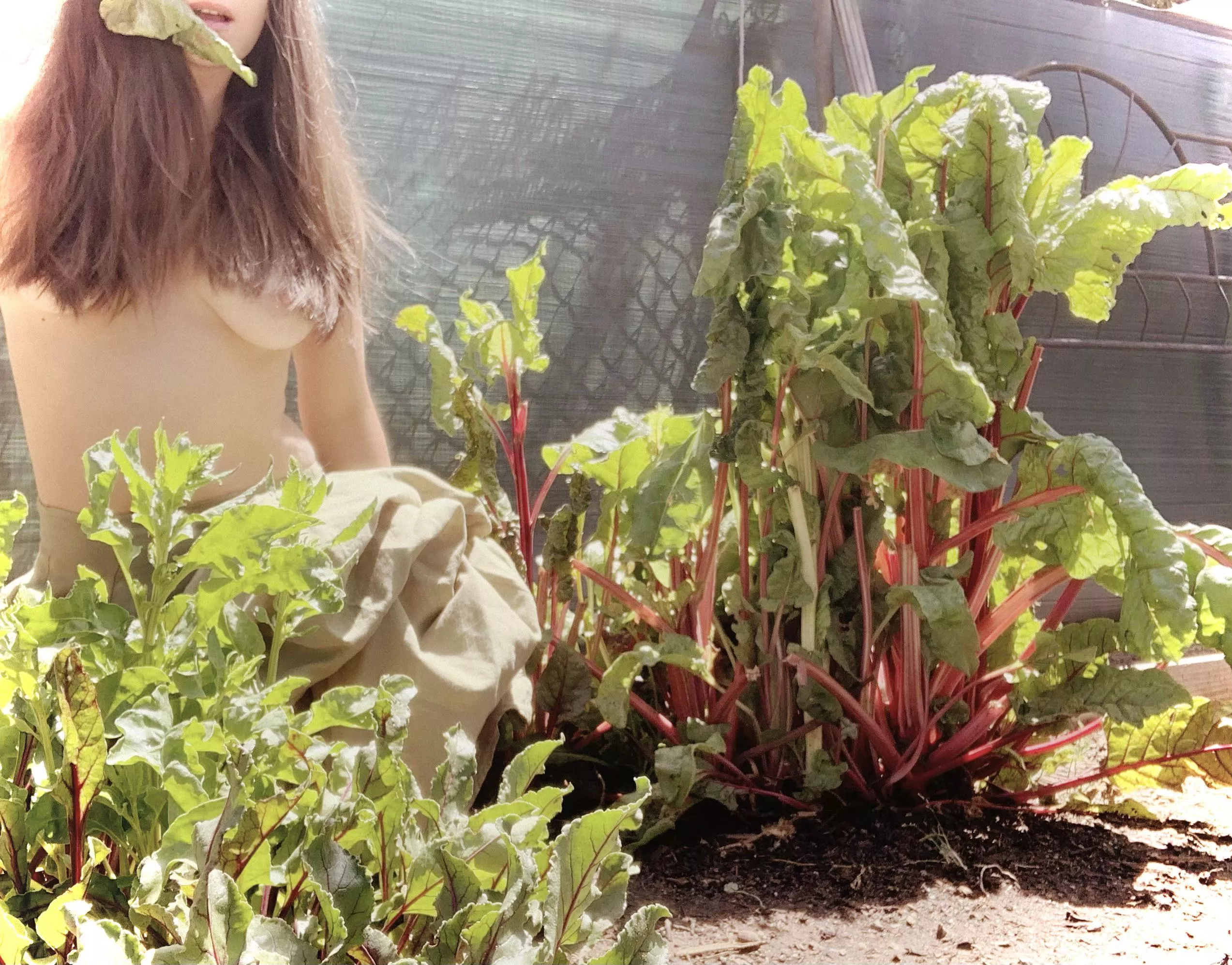 Plant one on me. 🥬💋(f) posted by SchemeKind