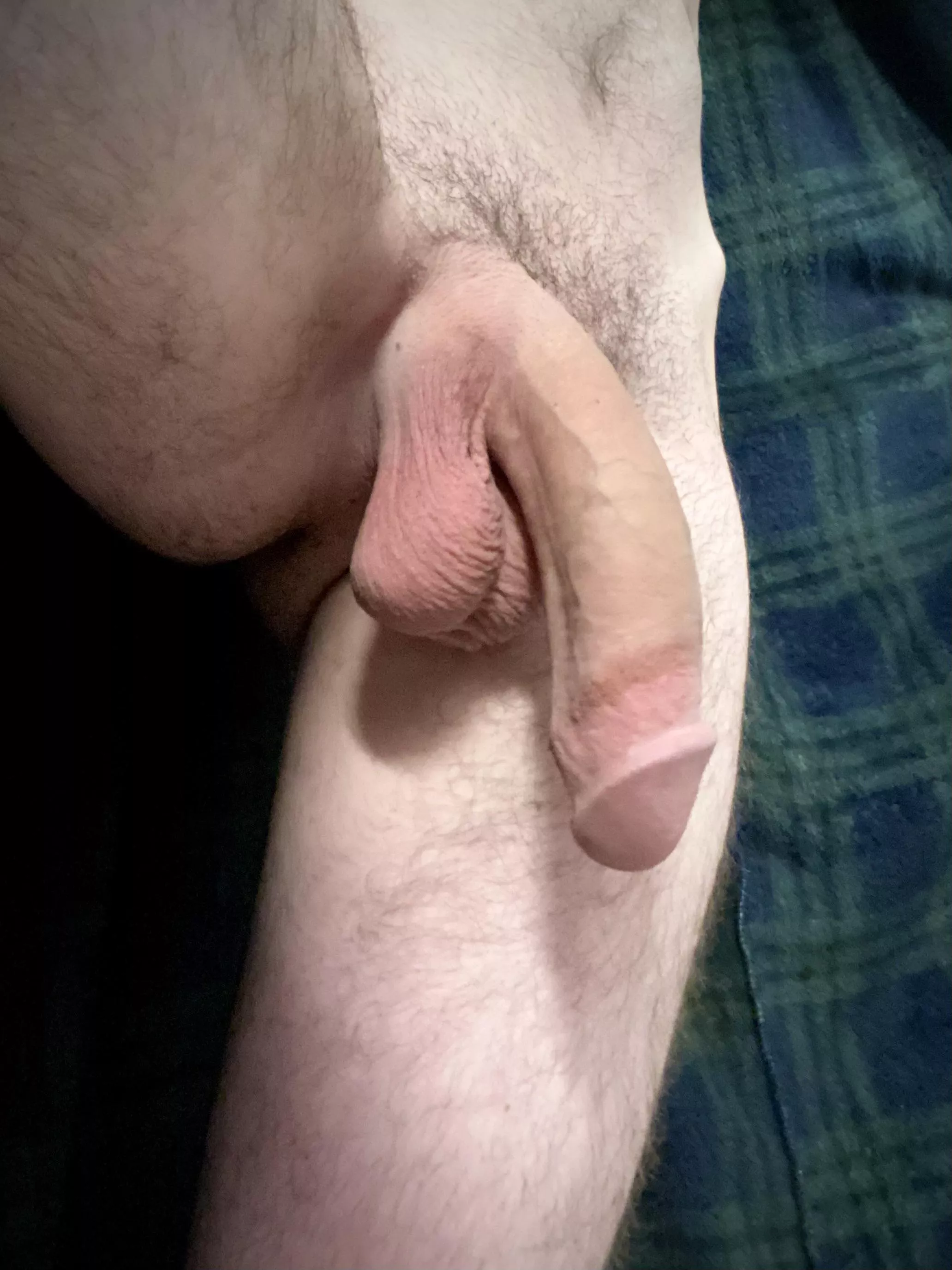 Play with my balls while you suck my cock? posted by VitisViniferaVine