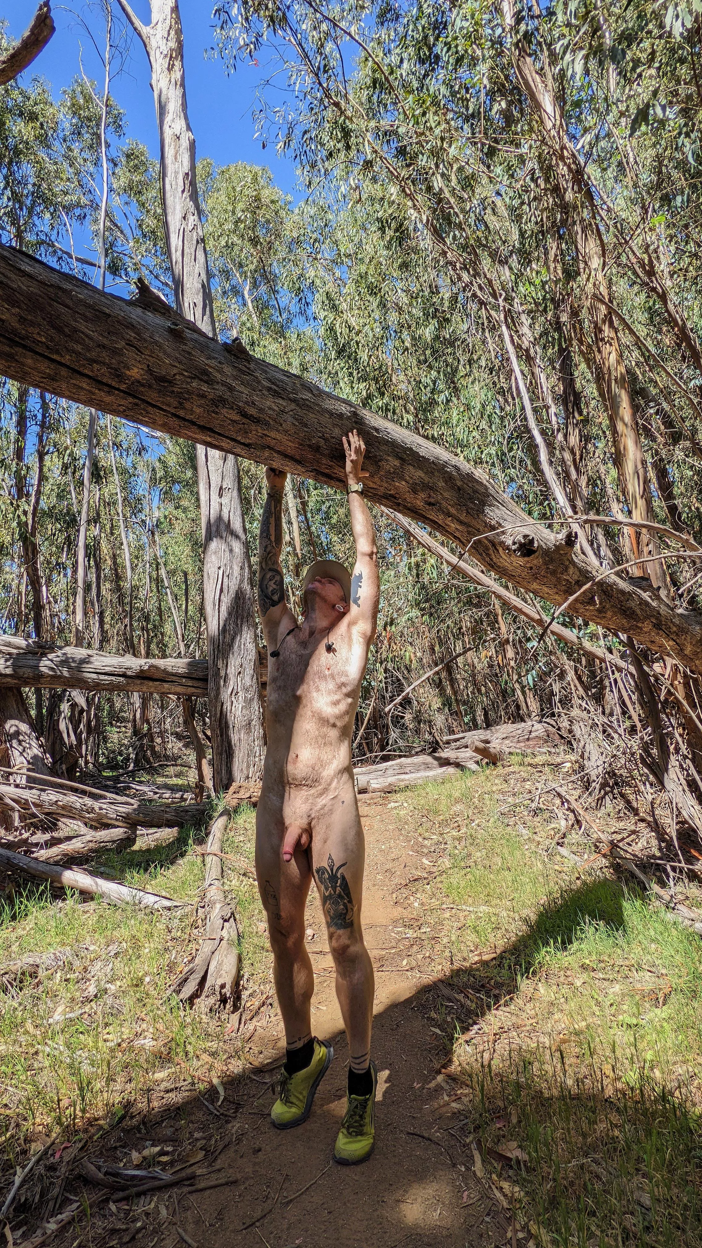 playin with trees again posted by theprimeprof