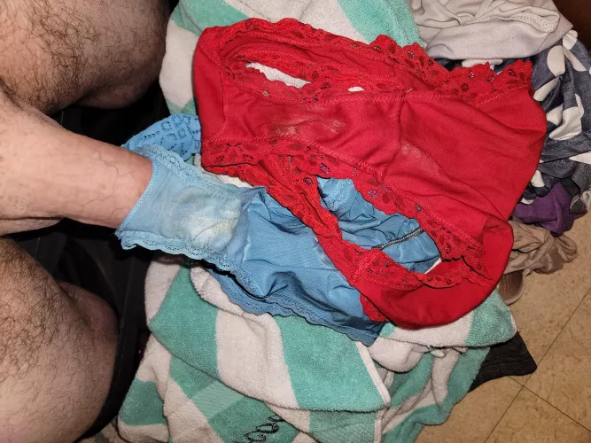 Playing with a couple of my wife's panties by smalldickhubby2020