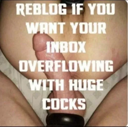 please by Busy_Injury426