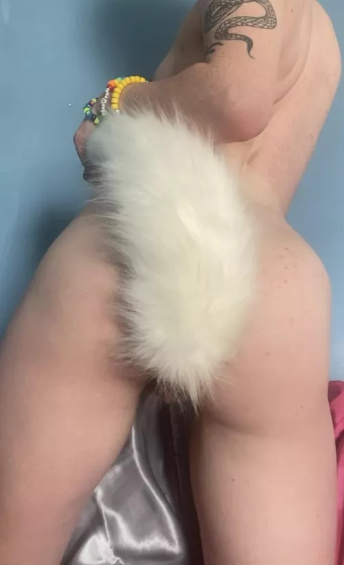 Please breed me I’ve been a good pup by Leather_Investment_3