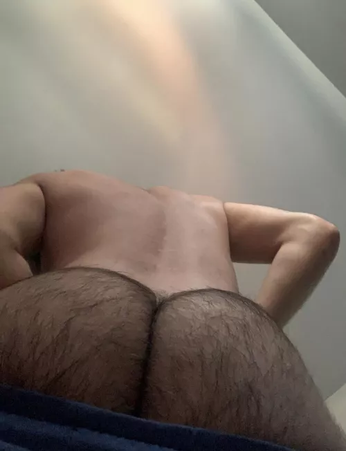 Please breed me by pputitooxxx