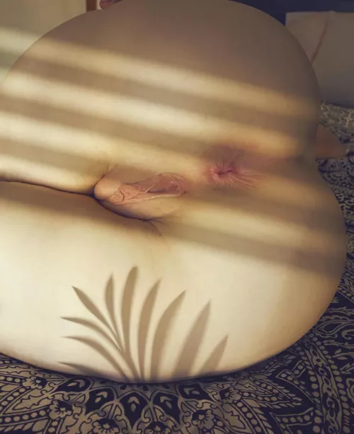 Please cum in me, not on me by Cutestcunt